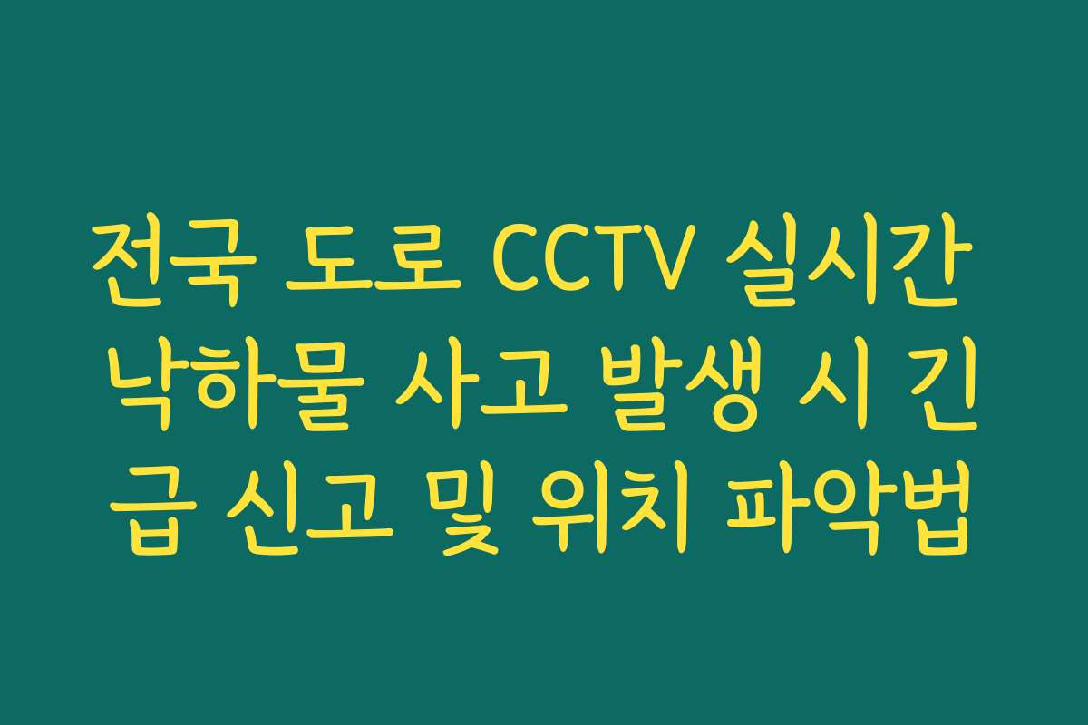 전국 도로 CCTV 실시간 낙하물 사고 발생 시 긴급 신고 및 위치 파악법