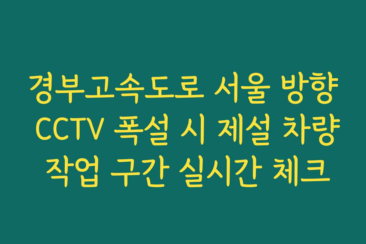 경부고속도로 서울 방향 CCTV 폭설 시 제설 차량 작업 구간 실시간 체크