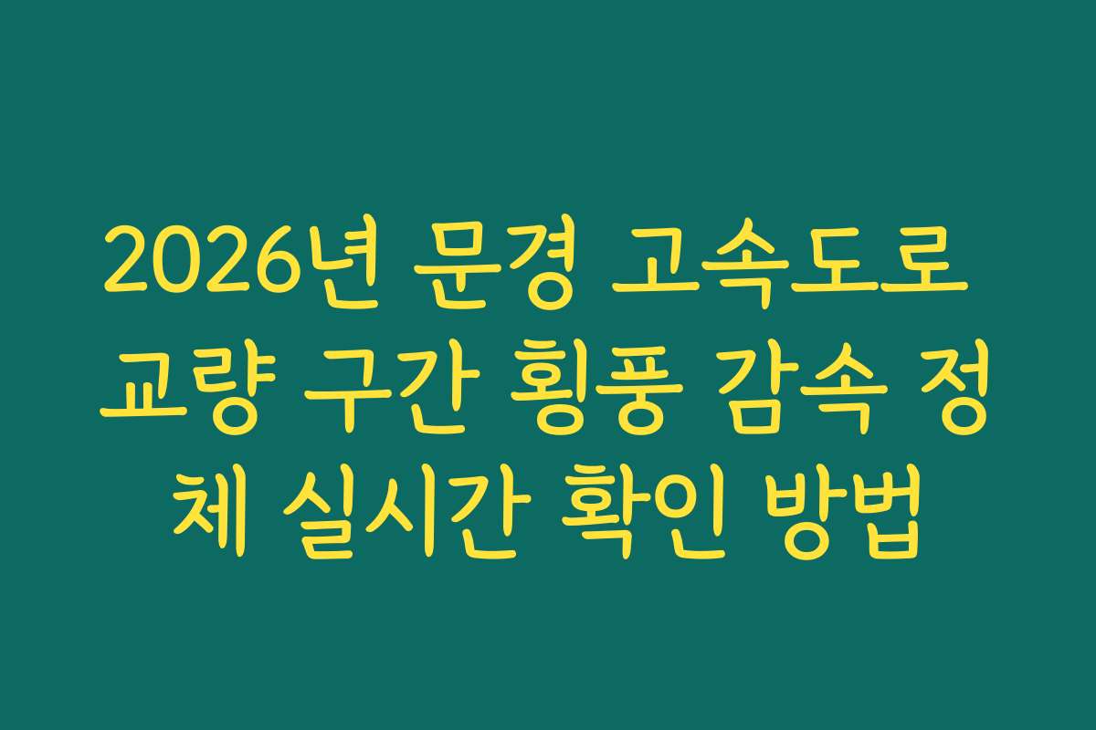 2026년 문경 고속도로 교량 구간 횡풍 감속 정체 실시간 확인 방법