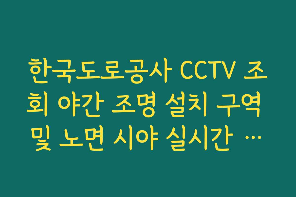 한국도로공사 CCTV 조회 야간 조명 설치 구역 및 노면 시야 실시간 확인