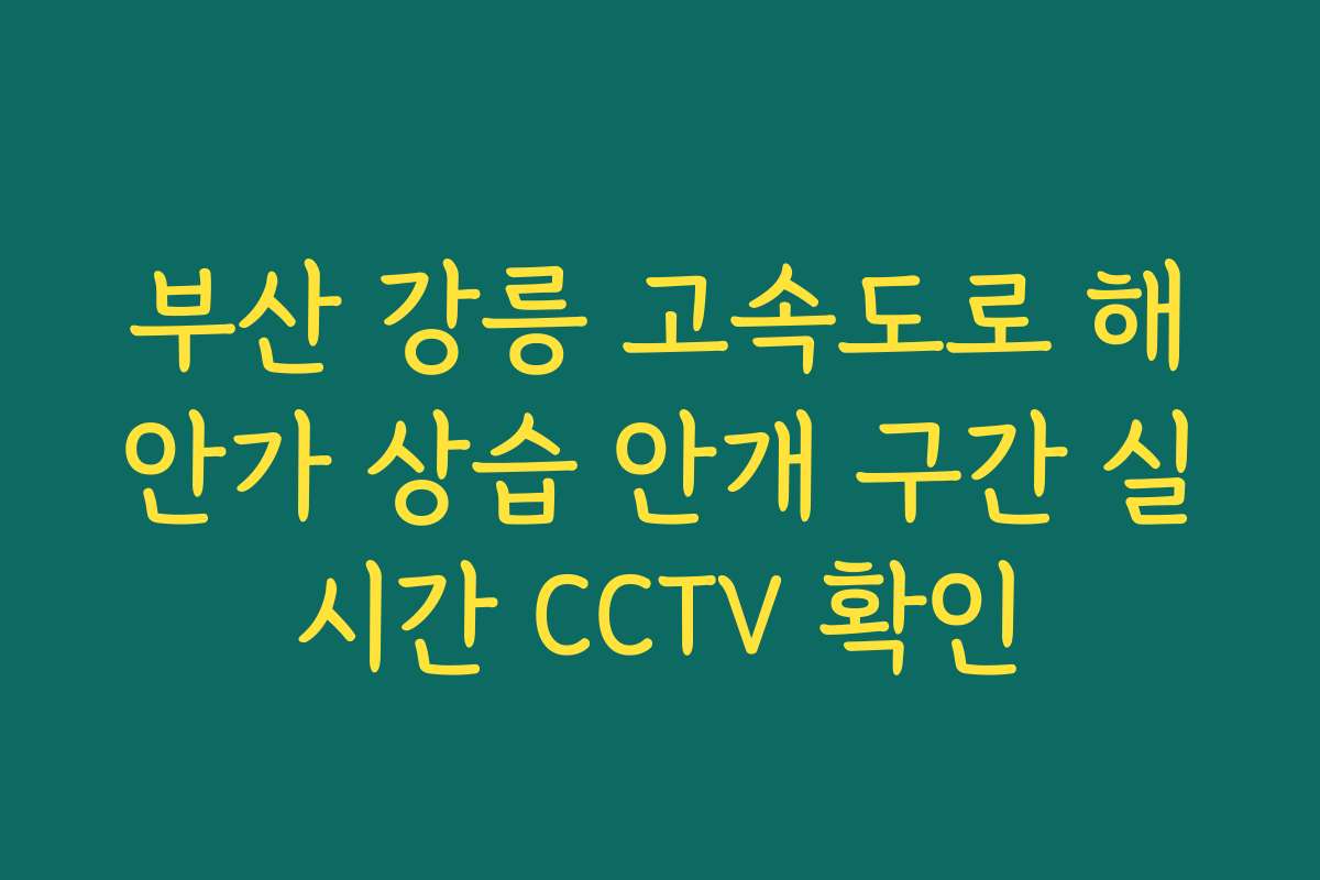 부산 강릉 고속도로 해안가 상습 안개 구간 실시간 CCTV 확인