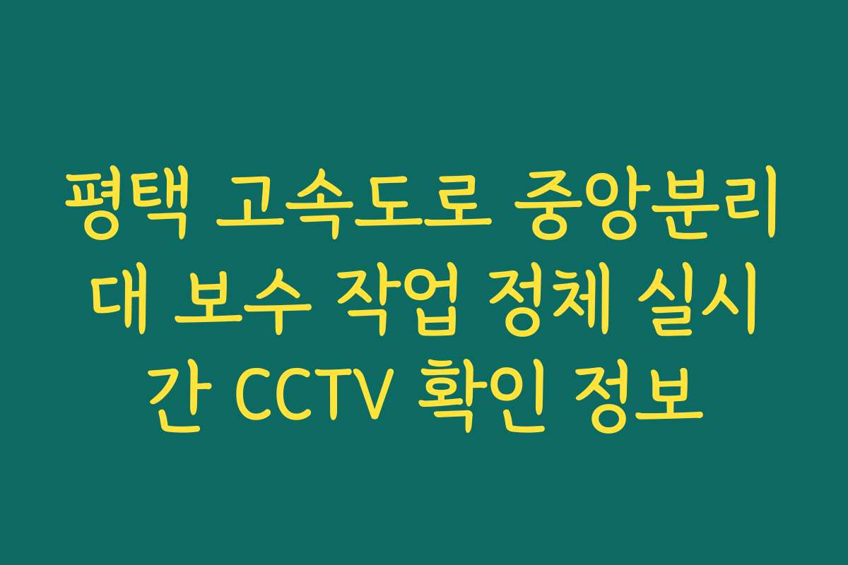 평택 고속도로 중앙분리대 보수 작업 정체 실시간 CCTV 확인 정보