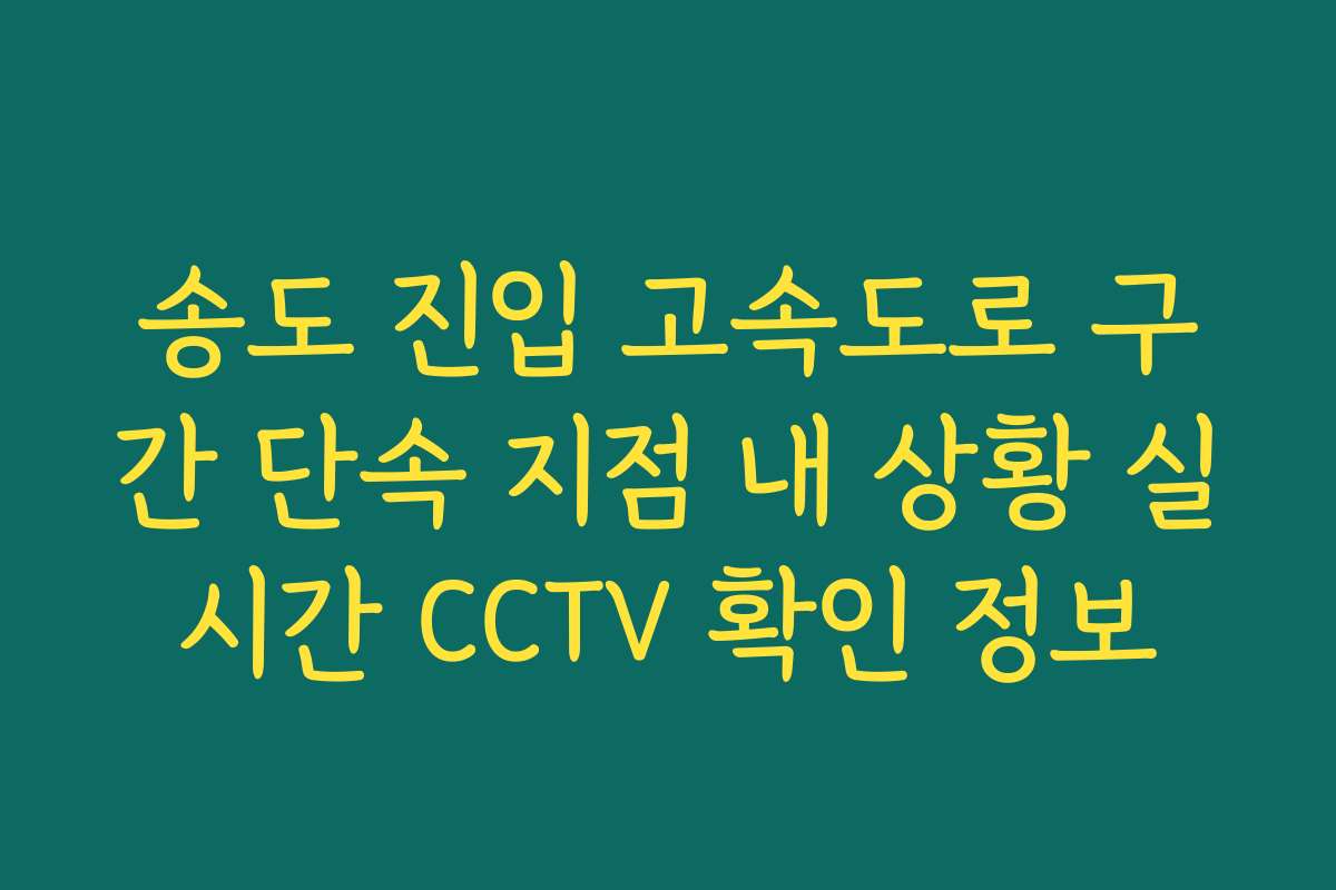 송도 진입 고속도로 구간 단속 지점 내 상황 실시간 CCTV 확인 정보