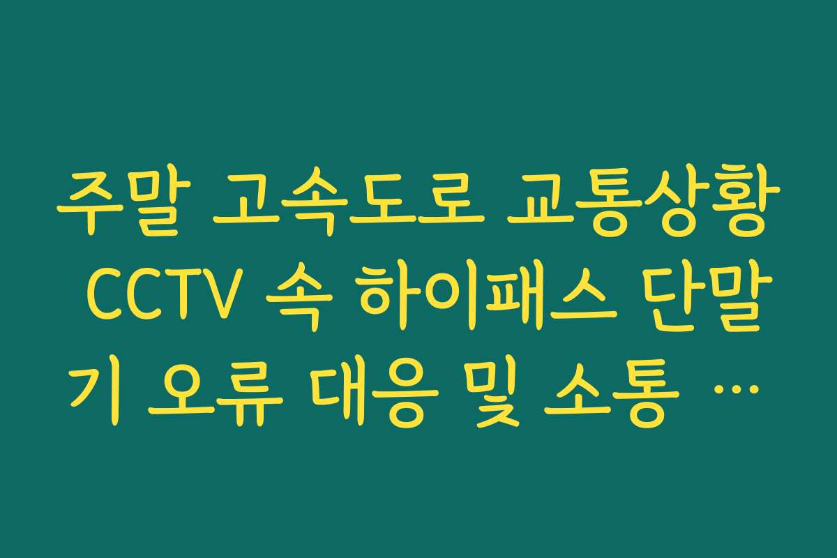 주말 고속도로 교통상황 CCTV 속 하이패스 단말기 오류 대응 및 소통 실태 실시간 확인
