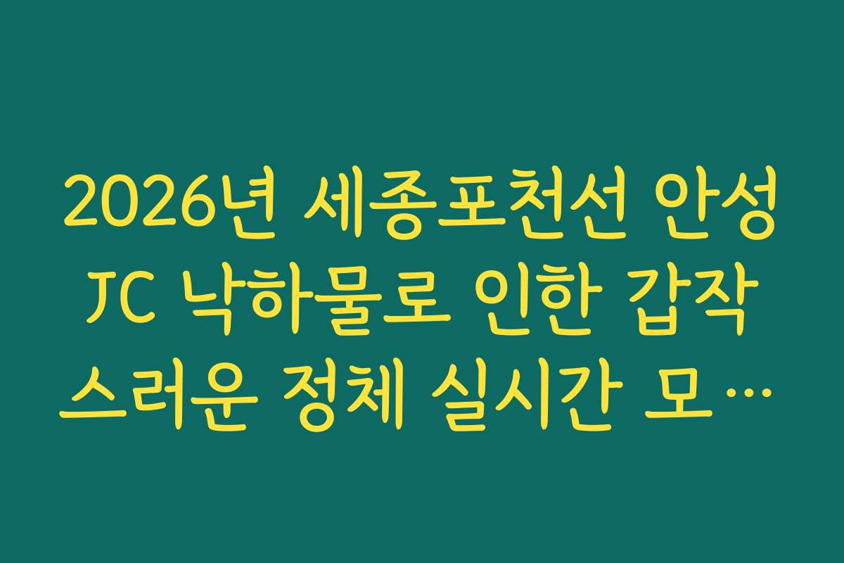2026년 세종포천선 안성JC 낙하물로 인한 갑작스러운 정체 실시간 모니터링법