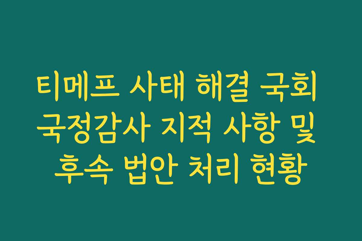 티메프 사태 해결 국회 국정감사 지적 사항 및 후속 법안 처리 현황