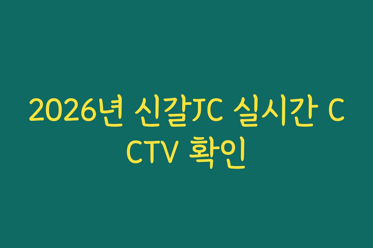 2026년 신갈JC 실시간 CCTV 확인