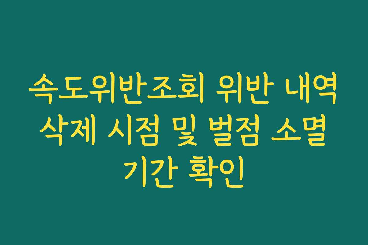 속도위반조회 위반 내역 삭제 시점 및 벌점 소멸 기간 확인