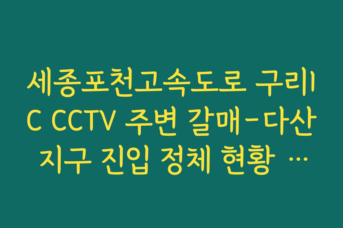 세종포천고속도로 구리IC CCTV 주변 갈매-다산 지구 진입 정체 현황 보기