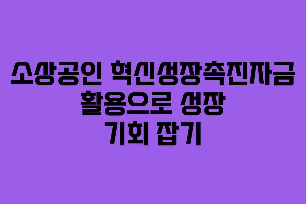 소상공인 혁신성장촉진자금 활용으로 성장 기회 잡기