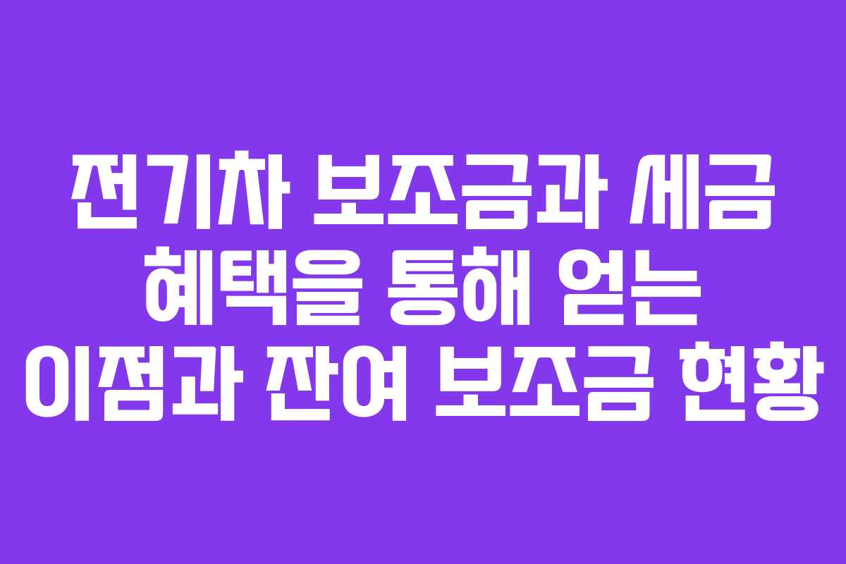 전기차 보조금과 세금 혜택을 통해 얻는 이점과 잔여 보조금 현황