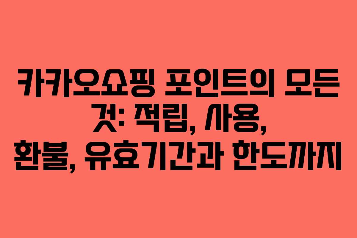 카카오쇼핑 포인트의 모든 것: 적립, 사용, 환불, 유효기간과 한도까지