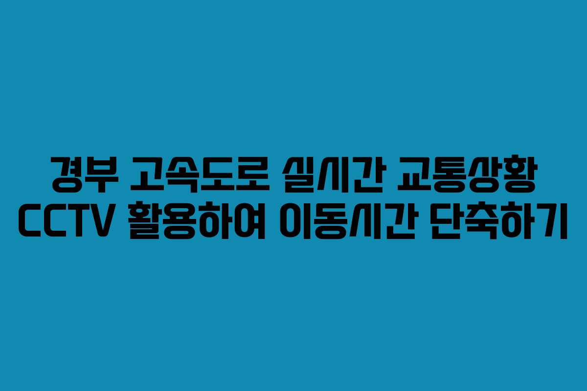 경부 고속도로 실시간 교통상황 CCTV 활용하여 이동시간 단축하기