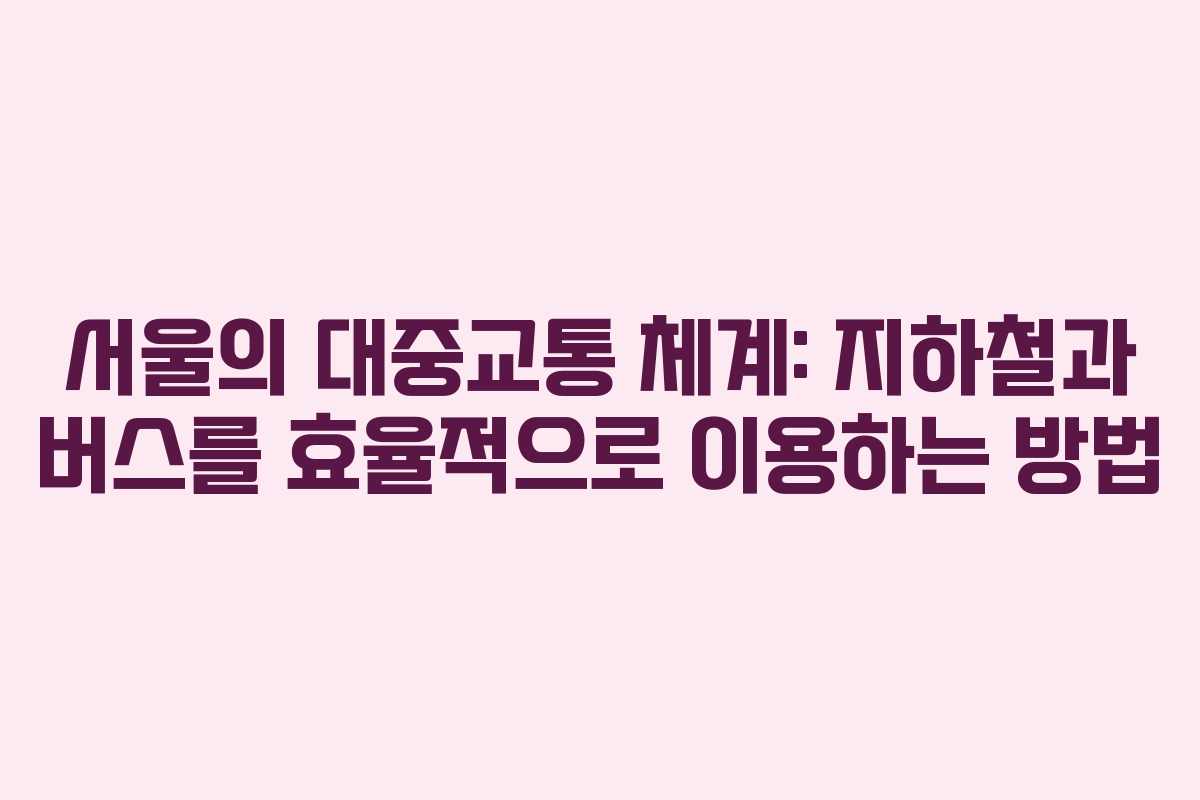 서울의 대중교통 체계: 지하철과 버스를 효율적으로 이용하는 방법