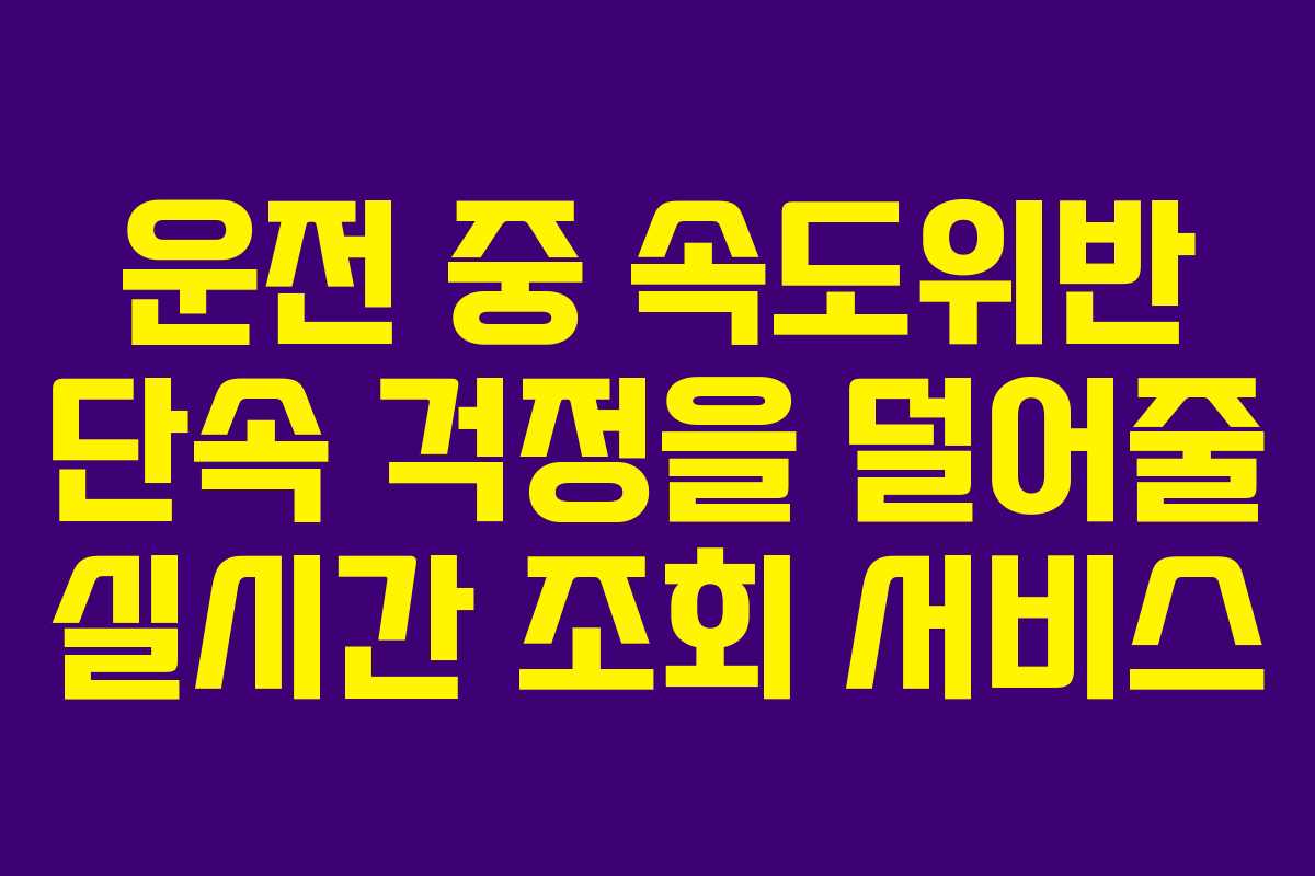운전 중 속도위반 단속 걱정을 덜어줄 실시간 조회 서비스
