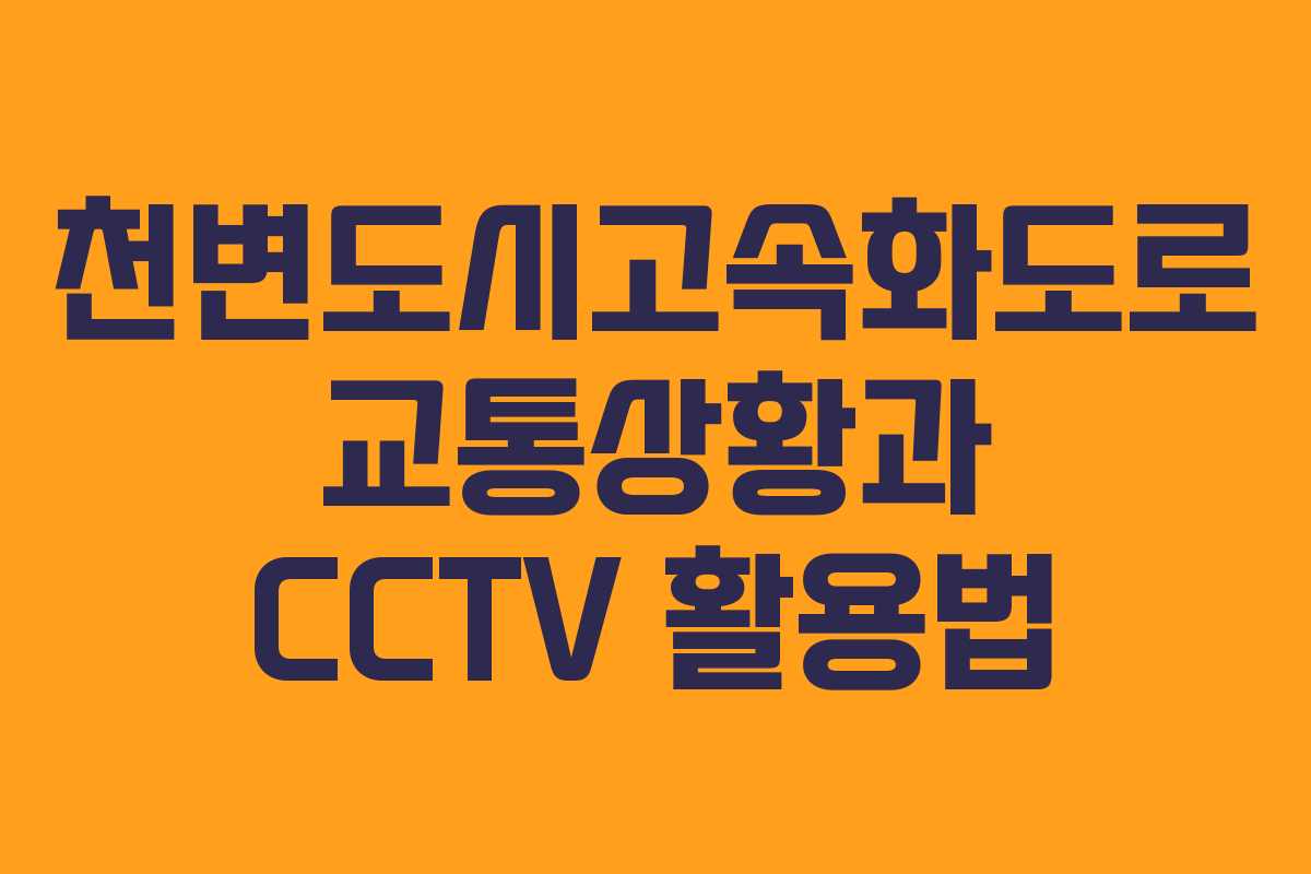 천변도시고속화도로 교통상황과 CCTV 활용법