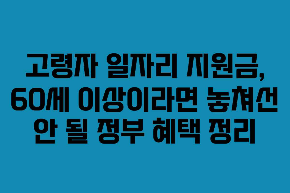 고령자 일자리 지원금, 60세 이상이라면 놓쳐선 안 될 정부 혜택 정리