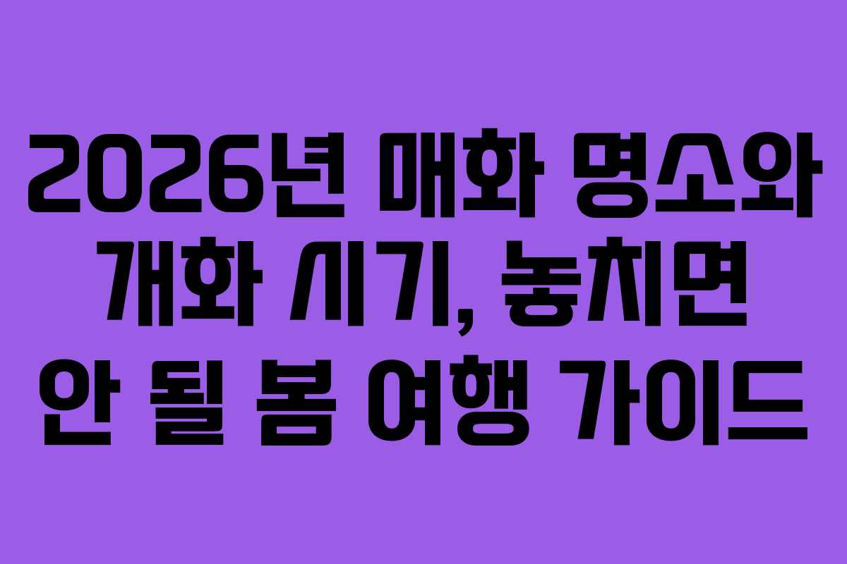 2026년 매화 명소와 개화 시기, 놓치면 안 될 봄 여행 가이드