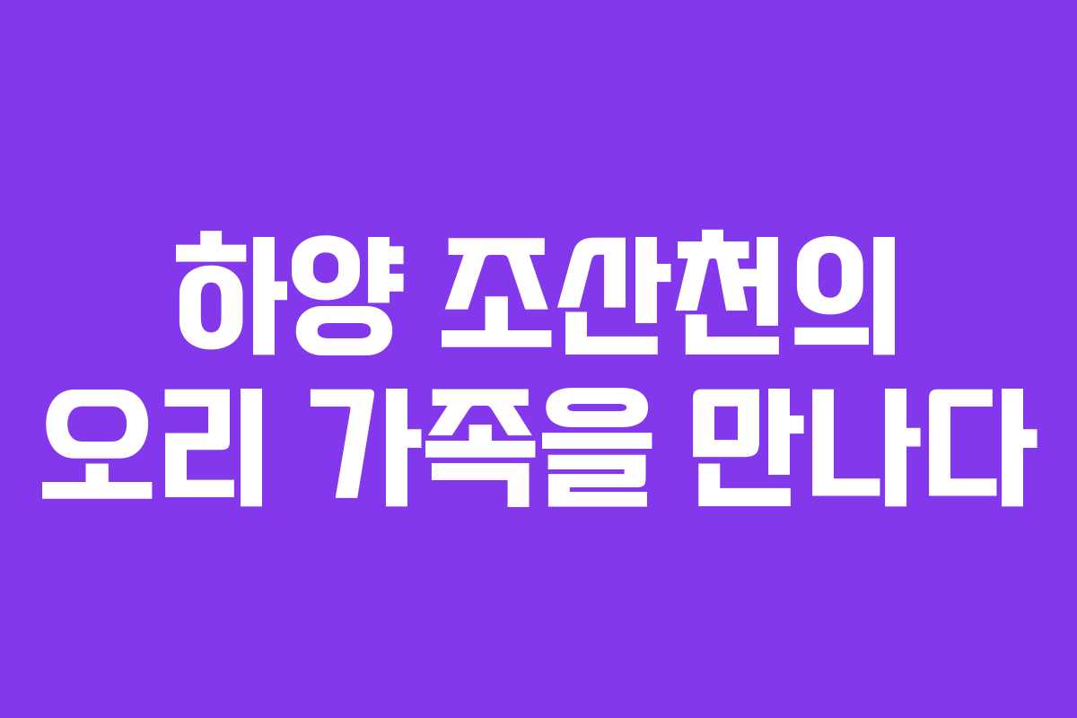 하양 조산천의 오리 가족을 만나다