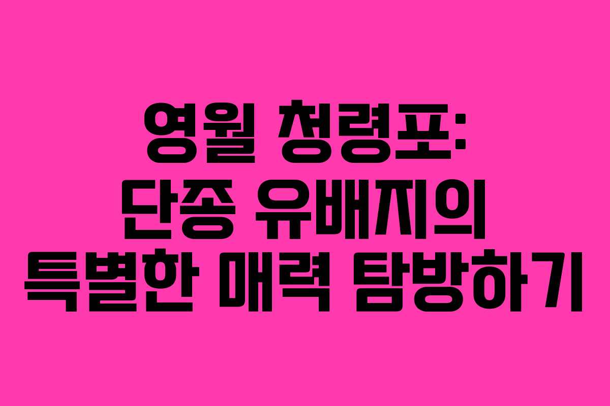영월 청령포: 단종 유배지의 특별한 매력 탐방하기