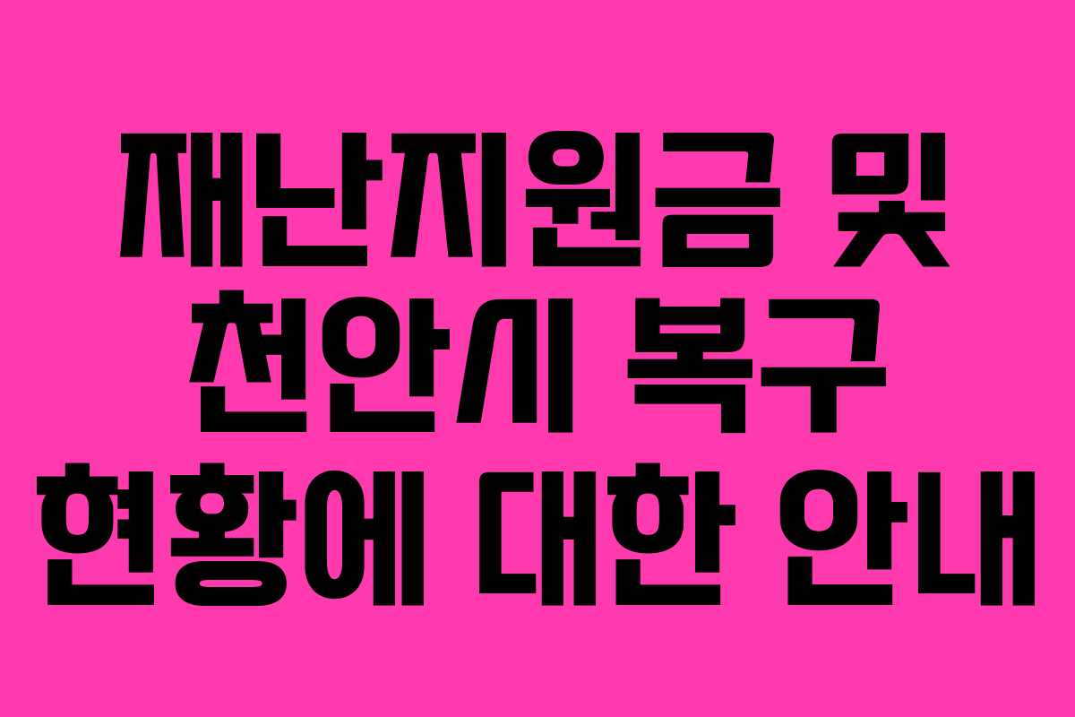 재난지원금 및 천안시 복구 현황에 대한 안내