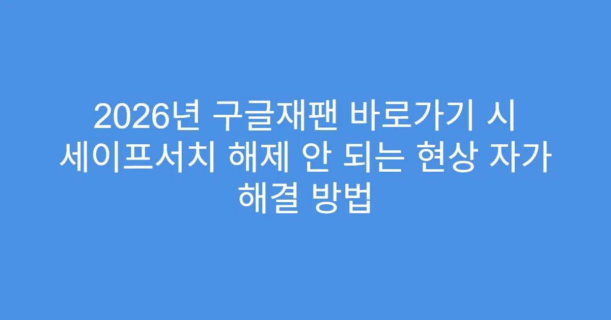 2026년 구글재팬 바로가기 시 세이프서치 해제 안 되는 현상 자가 해결 방법