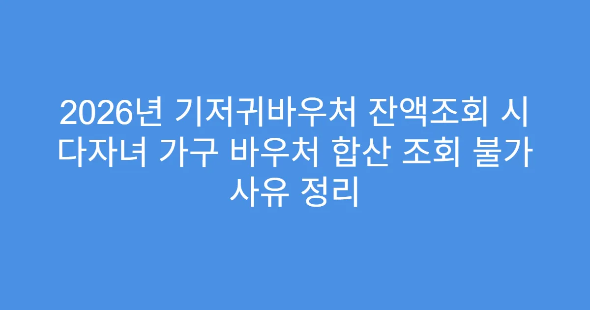 2026년 기저귀바우처 잔액조회 시 다자녀 가구 바우처 합산 조회 불가 사유 정리