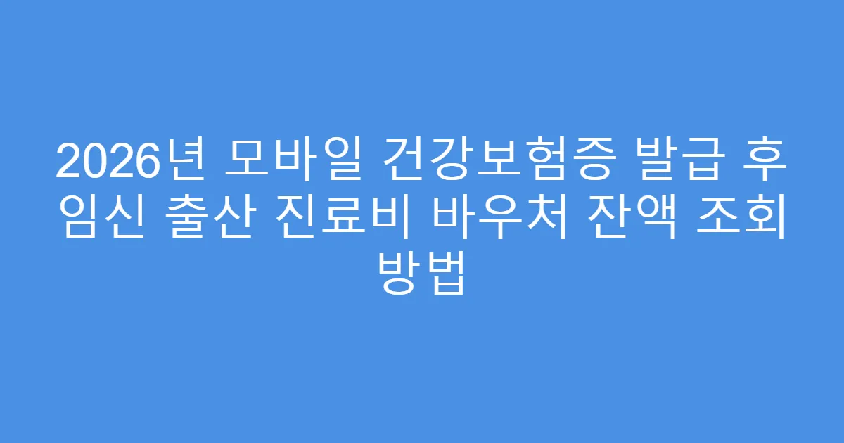 2026년 모바일 건강보험증 발급 후 임신 출산 진료비 바우처 잔액 조회 방법