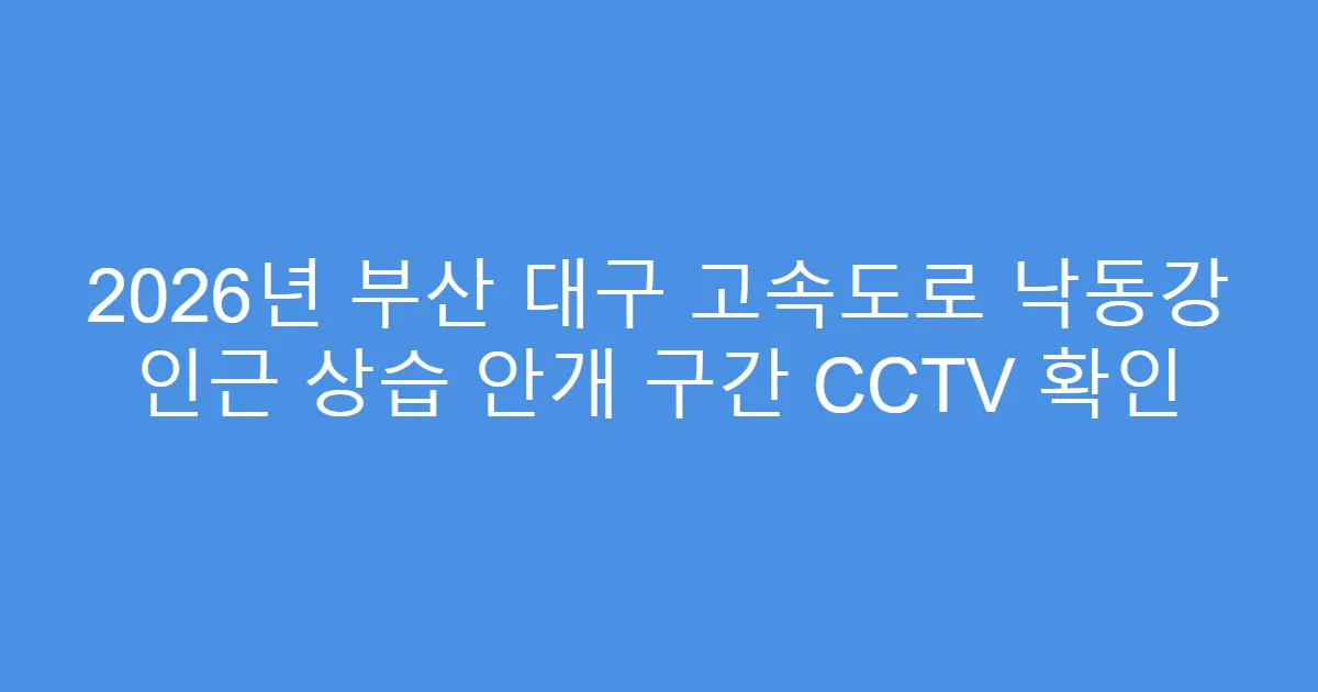 2026년 부산 대구 고속도로 낙동강 인근 상습 안개 구간 CCTV 확인