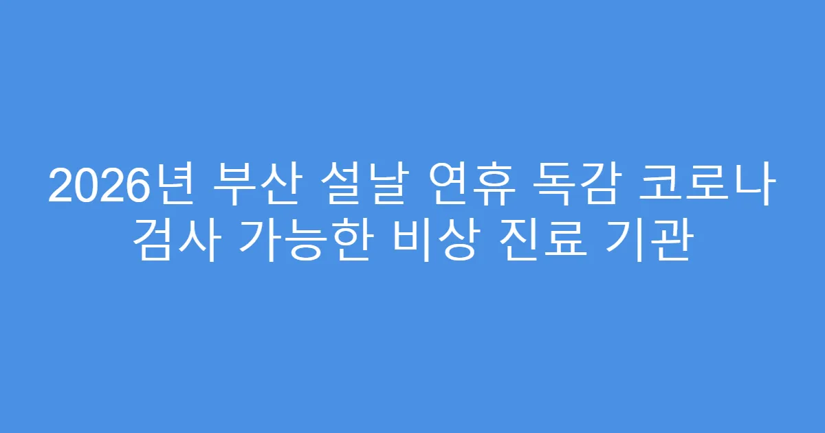 2026년 부산 설날 연휴 독감 코로나 검사 가능한 비상 진료 기관