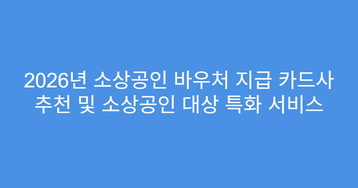 2026년 소상공인 바우처 지급 카드사 추천 및 소상공인 대상 특화 서비스