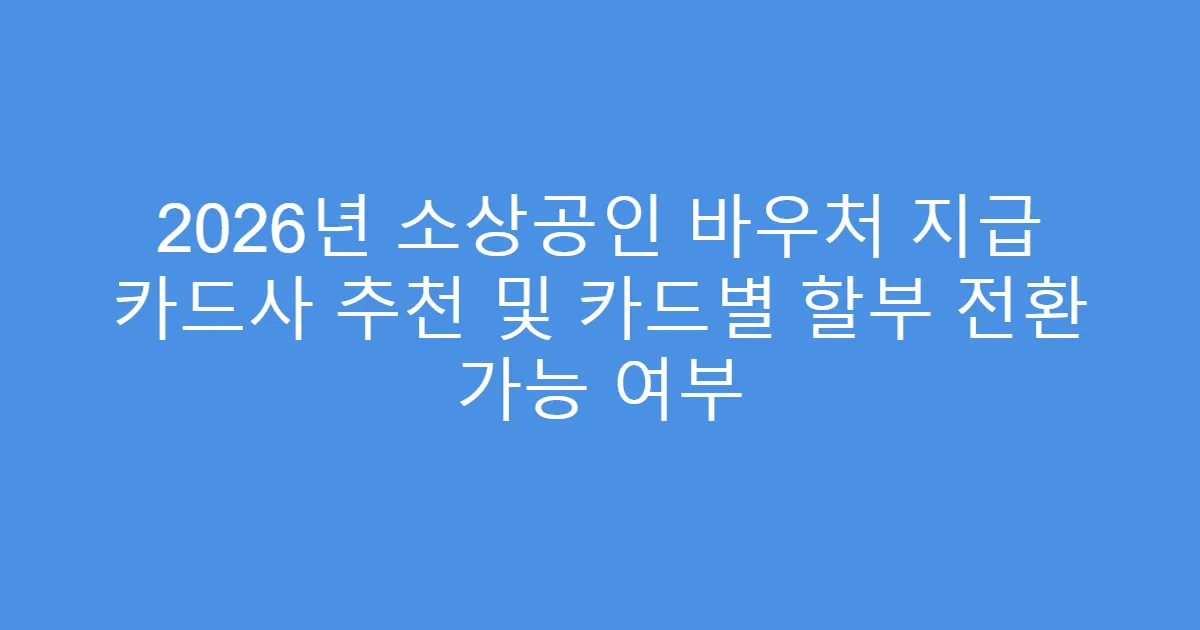 2026년 소상공인 바우처 지급 카드사 추천 및 카드별 할부 전환 가능 여부