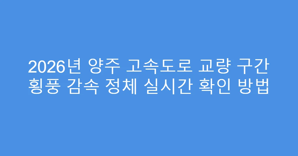 2026년 양주 고속도로 교량 구간 횡풍 감속 정체 실시간 확인 방법