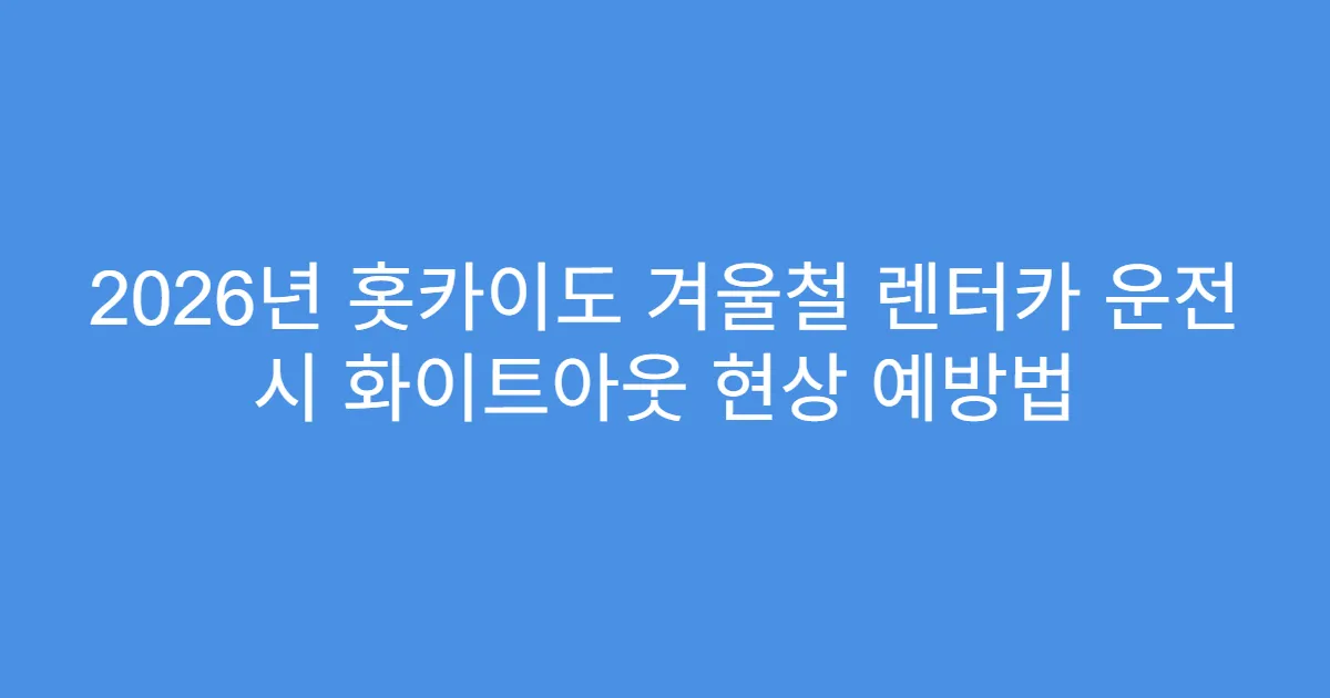 2026년 홋카이도 겨울철 렌터카 운전 시 화이트아웃 현상 예방법