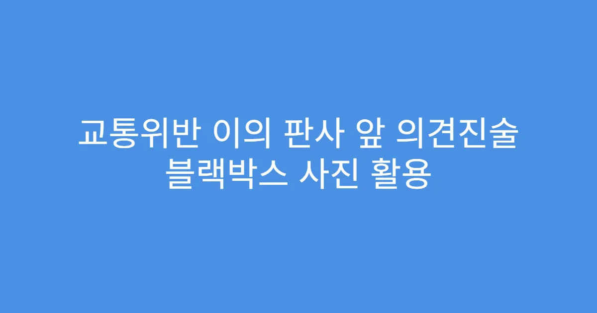 교통위반 이의 판사 앞 의견진술 블랙박스 사진 활용