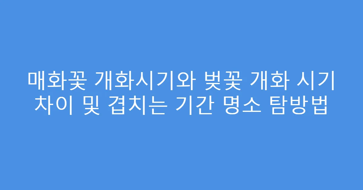매화꽃 개화시기와 벚꽃 개화 시기 차이 및 겹치는 기간 명소 탐방법