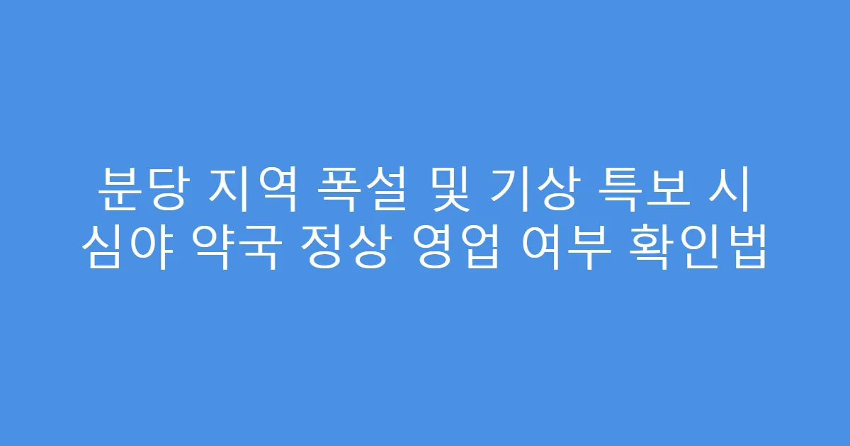 분당 지역 폭설 및 기상 특보 시 심야 약국 정상 영업 여부 확인법