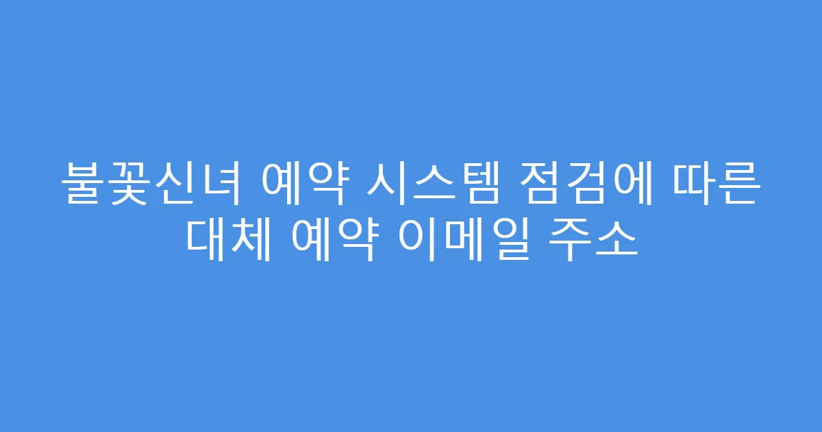 불꽃신녀 예약 시스템 점검에 따른 대체 예약 이메일 주소