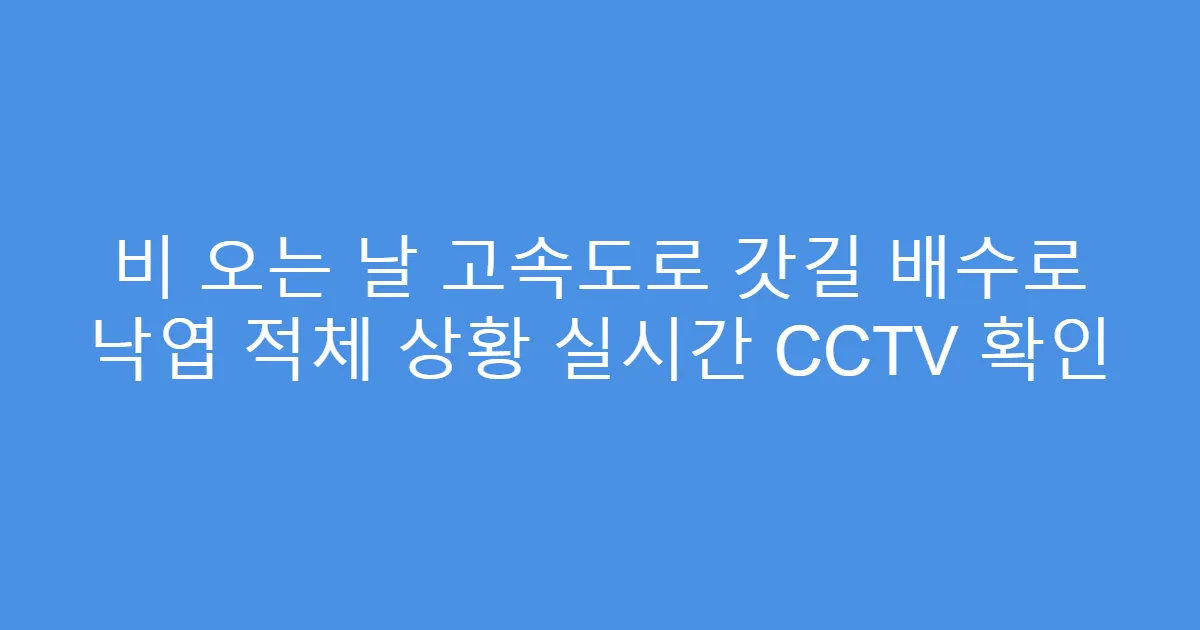 비 오는 날 고속도로 갓길 배수로 낙엽 적체 상황 실시간 CCTV 확인