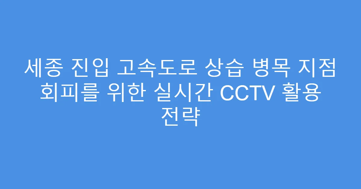 세종 진입 고속도로 상습 병목 지점 회피를 위한 실시간 CCTV 활용 전략