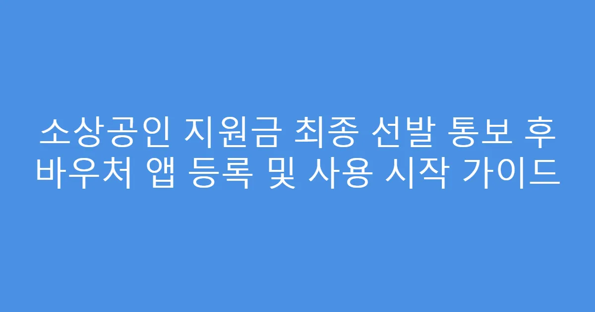 소상공인 지원금 최종 선발 통보 후 바우처 앱 등록 및 사용 시작 가이드
