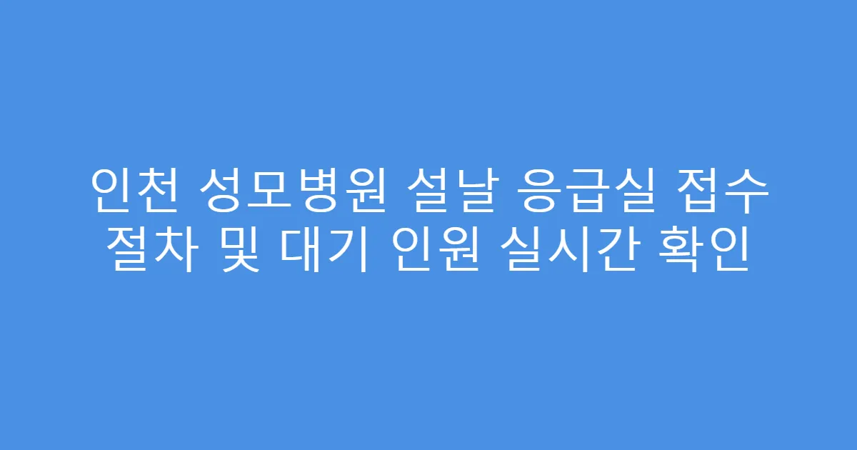 인천 성모병원 설날 응급실 접수 절차 및 대기 인원 실시간 확인