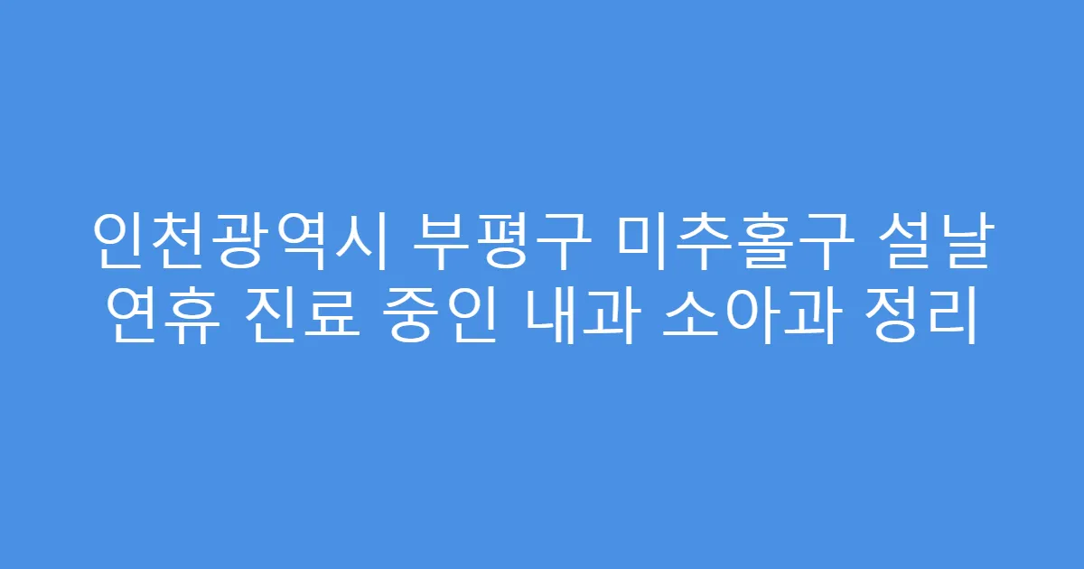 인천광역시 부평구 미추홀구 설날 연휴 진료 중인 내과 소아과 정리