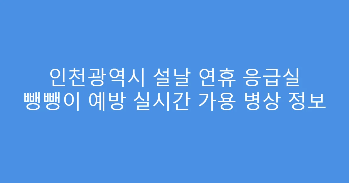 인천광역시 설날 연휴 응급실 뺑뺑이 예방 실시간 가용 병상 정보