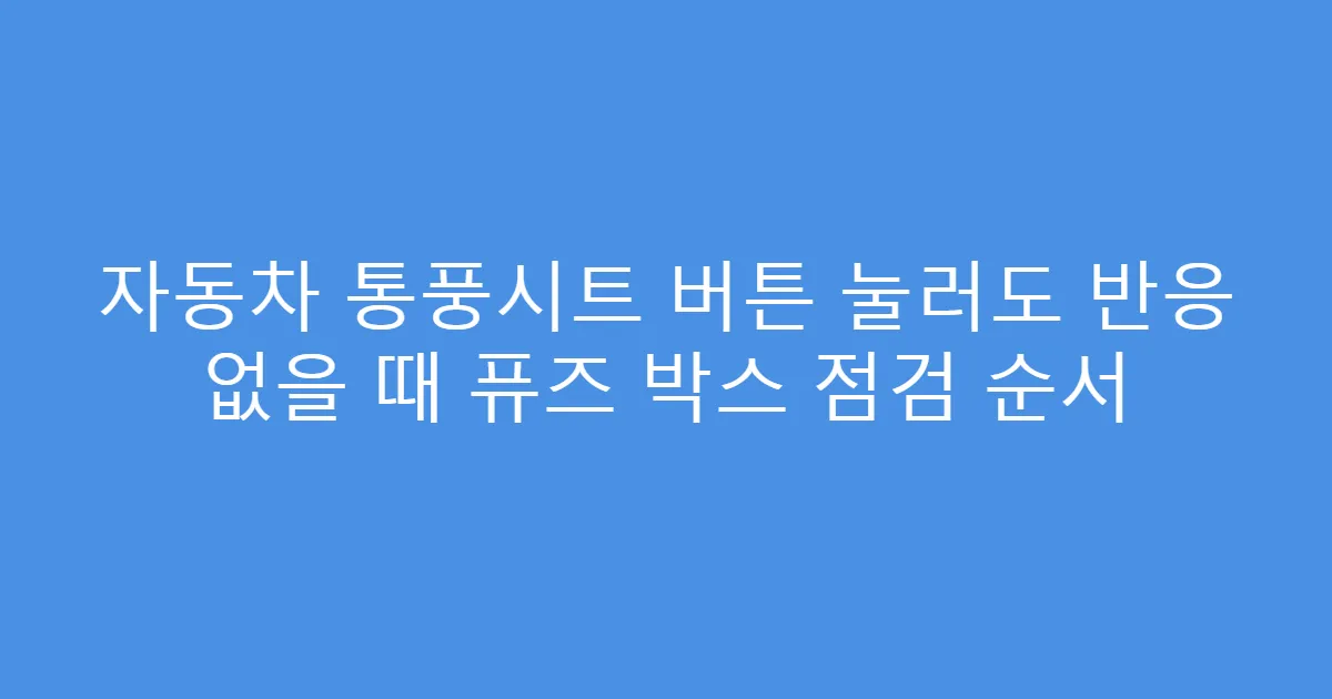 자동차 통풍시트 버튼 눌러도 반응 없을 때 퓨즈 박스 점검 순서