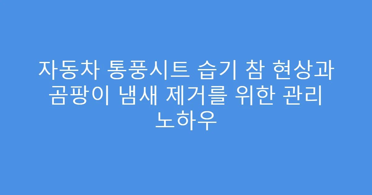 자동차 통풍시트 습기 참 현상과 곰팡이 냄새 제거를 위한 관리 노하우