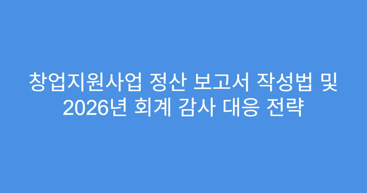창업지원사업 정산 보고서 작성법 및 2026년 회계 감사 대응 전략