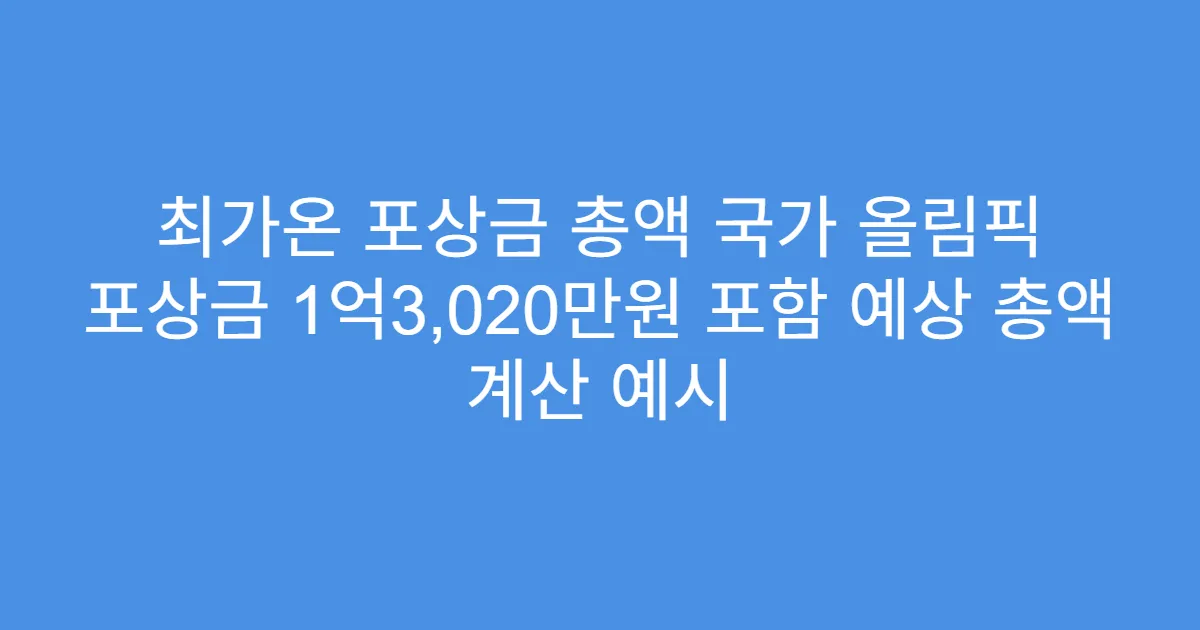 최가온 포상금 총액 국가 올림픽 포상금 1억3,020만원 포함 예상 총액 계산 예시