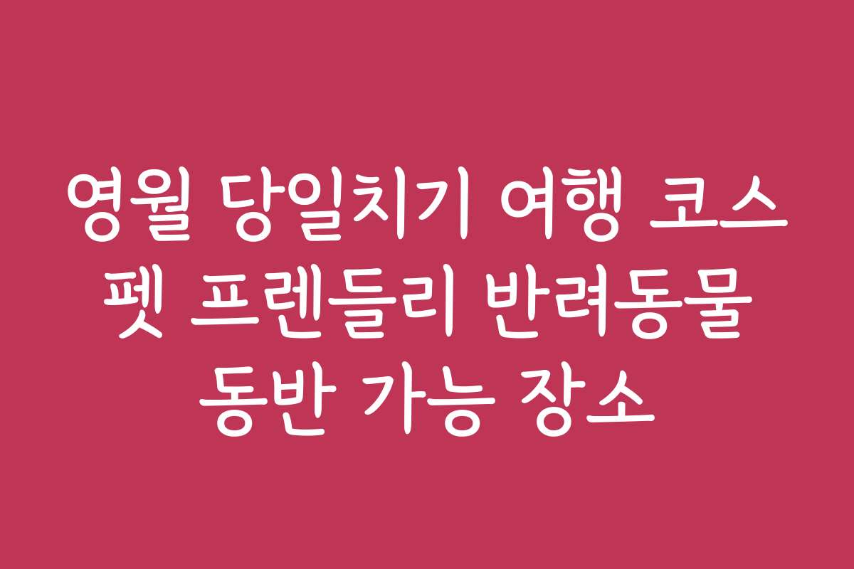 영월 당일치기 여행 코스 펫 프렌들리 반려동물 동반 가능 장소