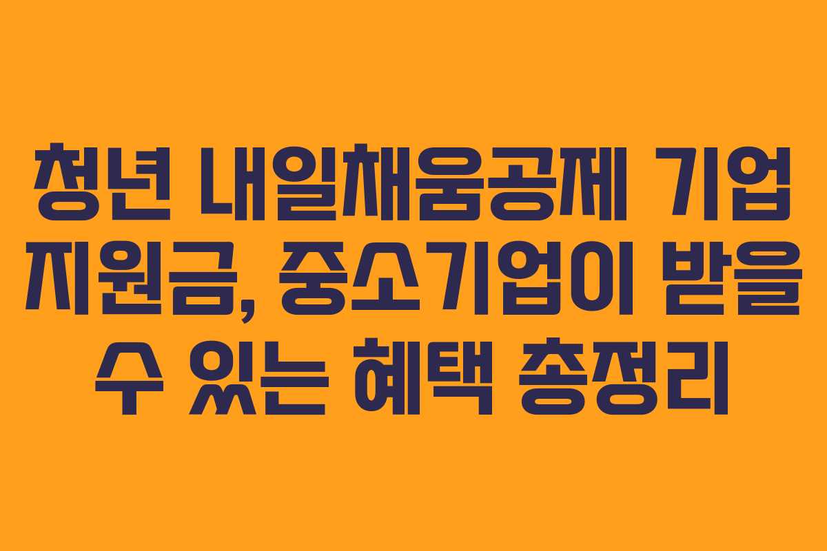 청년 내일채움공제 기업 지원금, 중소기업이 받을 수 있는 혜택 총정리